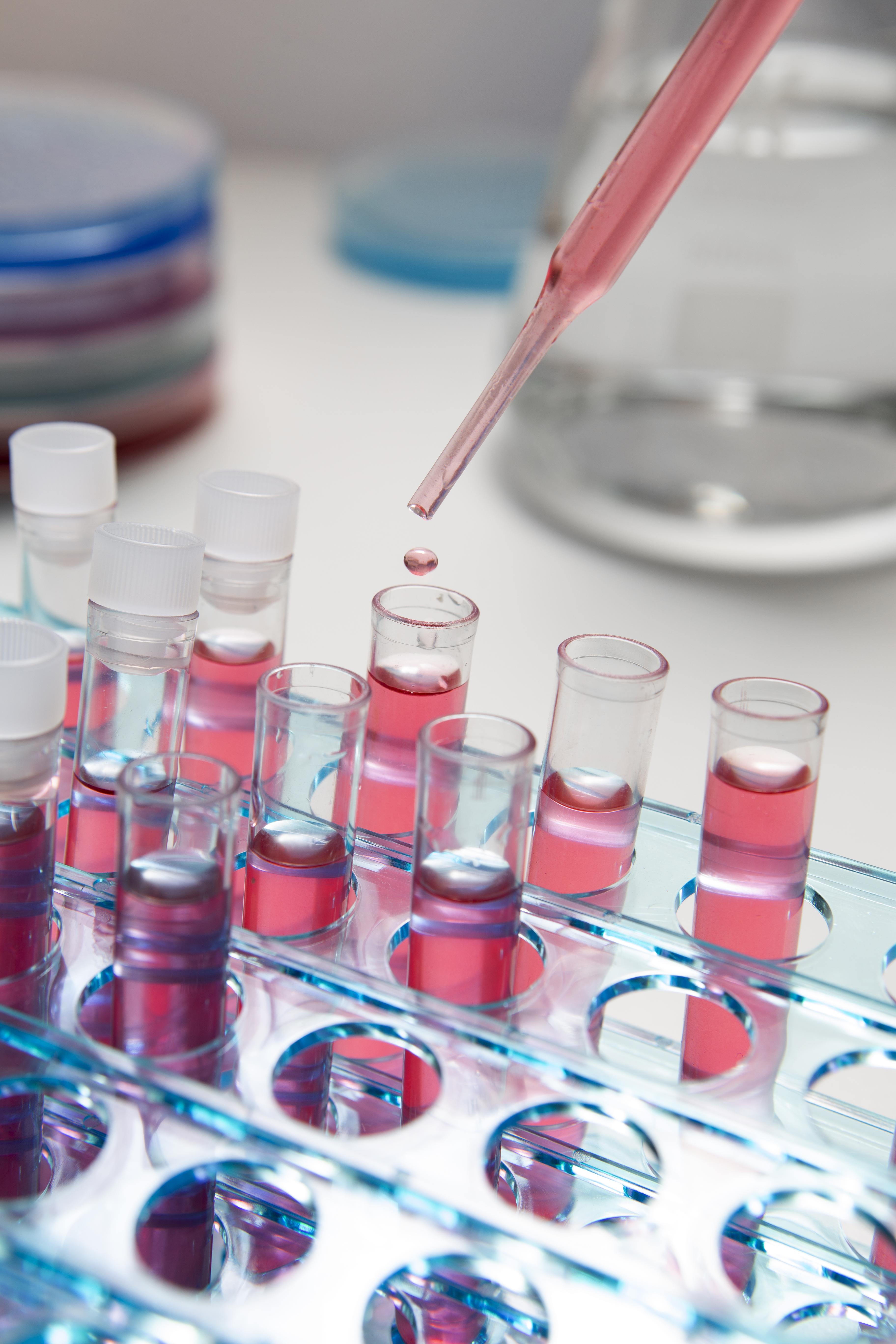 still life arrangement test tubes v2