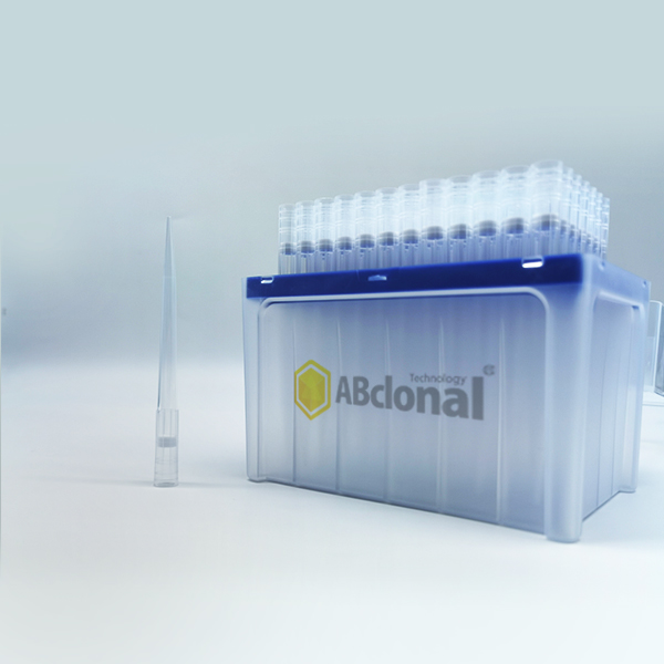 27 sterile Dnas Rnase free long filtered 1000 ul