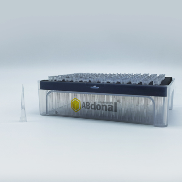 7 sterile dnase rnase free low retention filtered 10 ul