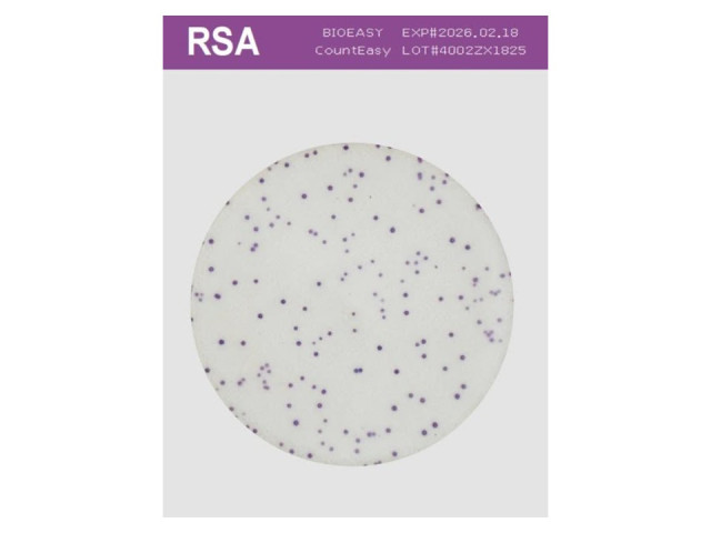RSA.5